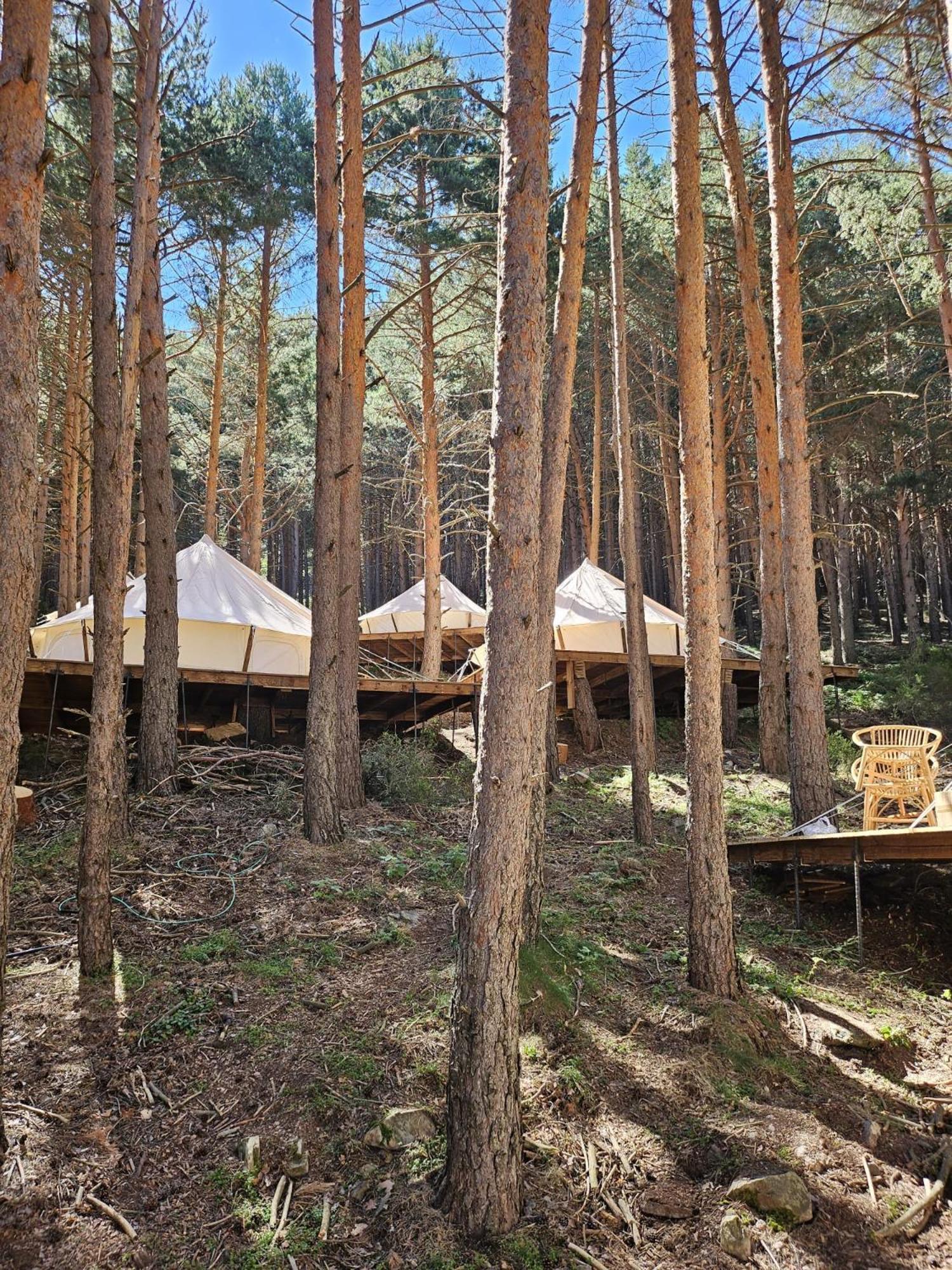 Glamping Zone La Pinilla *